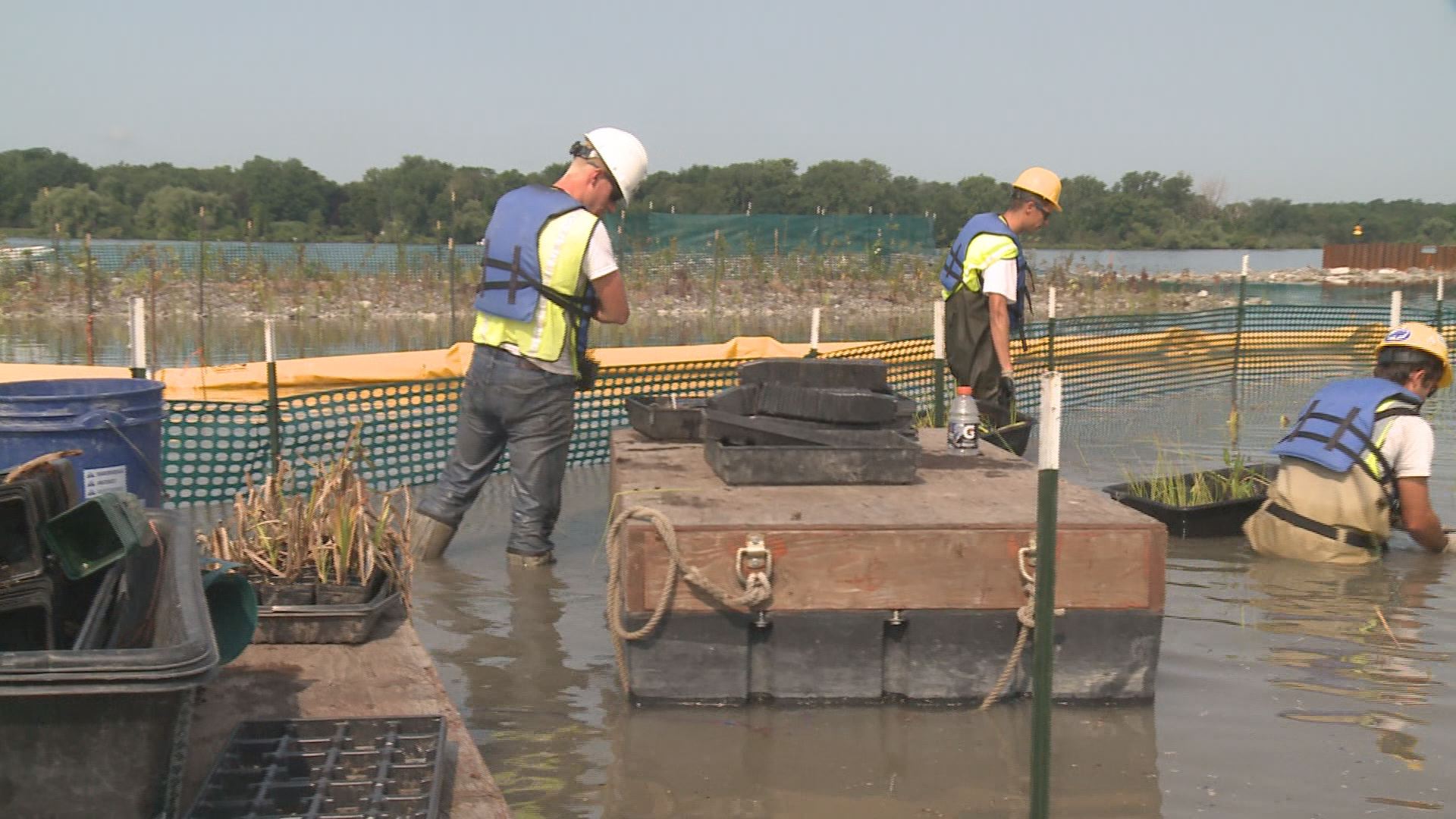Reconstructing A Island